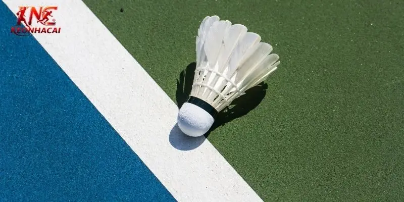 Giải đấu cuối năm của cầu lông đang diễn ra kịch tính