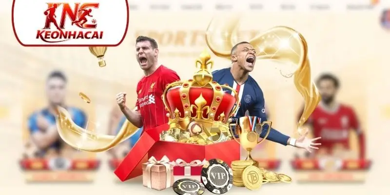 Dịch vụ chăm sóc hoạt động chuyên nghiệp